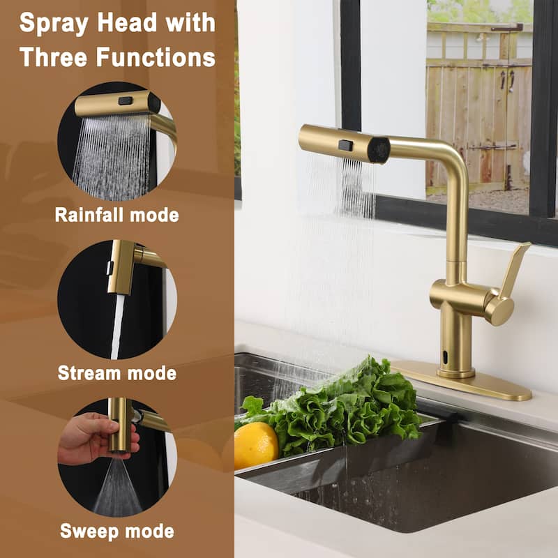 Single Handle Pull Down Sprayer Kitchen Faucet with 3 Functions Spray