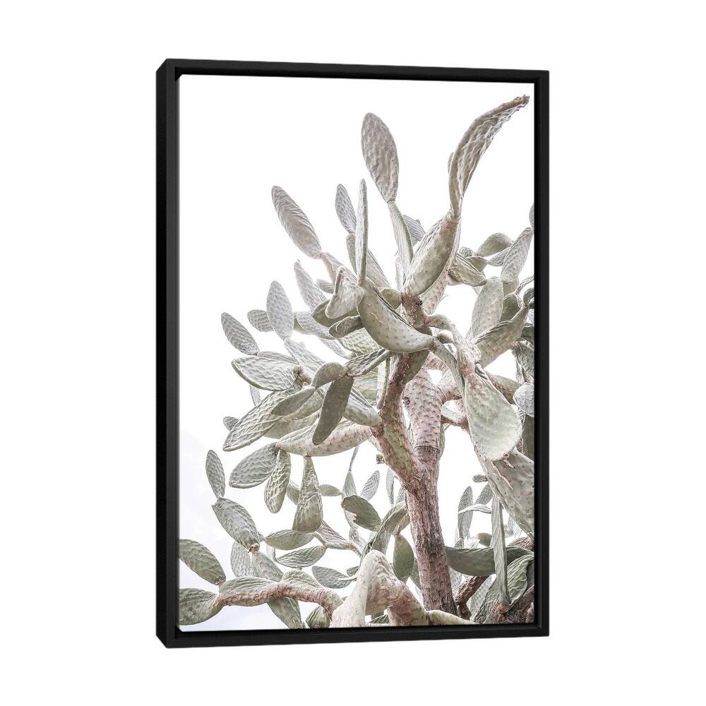 iCanvas "Desert Prince I" by Shot by Clint Framed