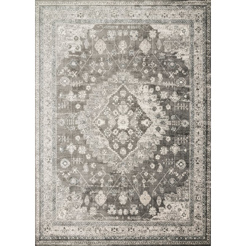 Alexander Home Antique Inspired Distressed Medallion Area Rug