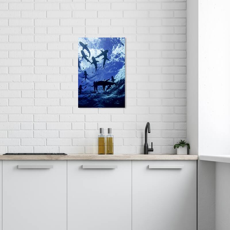 Wynwood Studio Canvas Animals David Fleetham - Blacktip Reef Shark II Blue and Nautical & Coastal Wall Art Canvas Print - 24 x 16