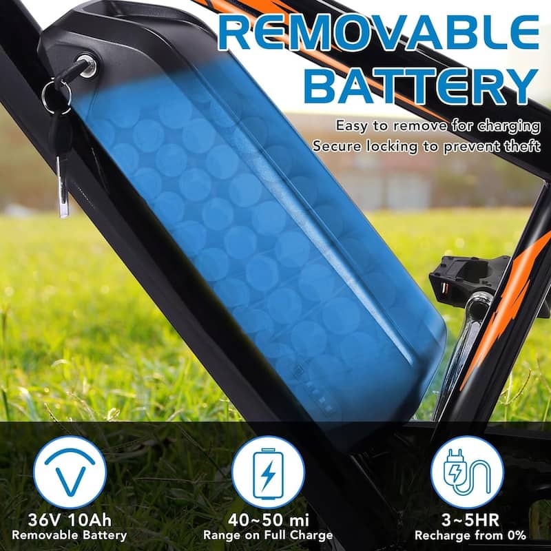3 Wheel Electric Bicycle for Adults with Basket, Electric Tricycle