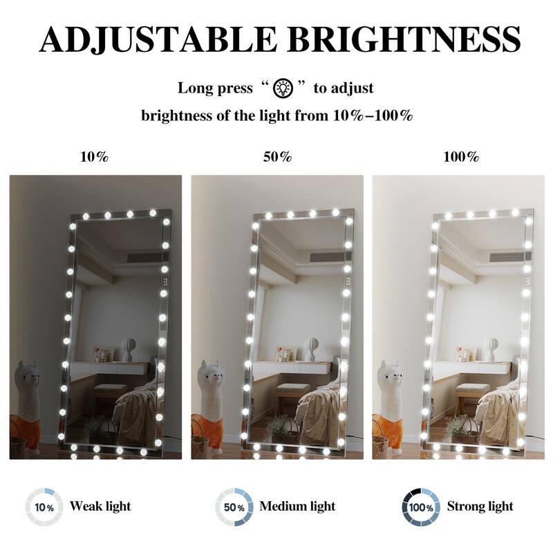 Large Full Length Vanity Mirror with 3 Color Mode Lights