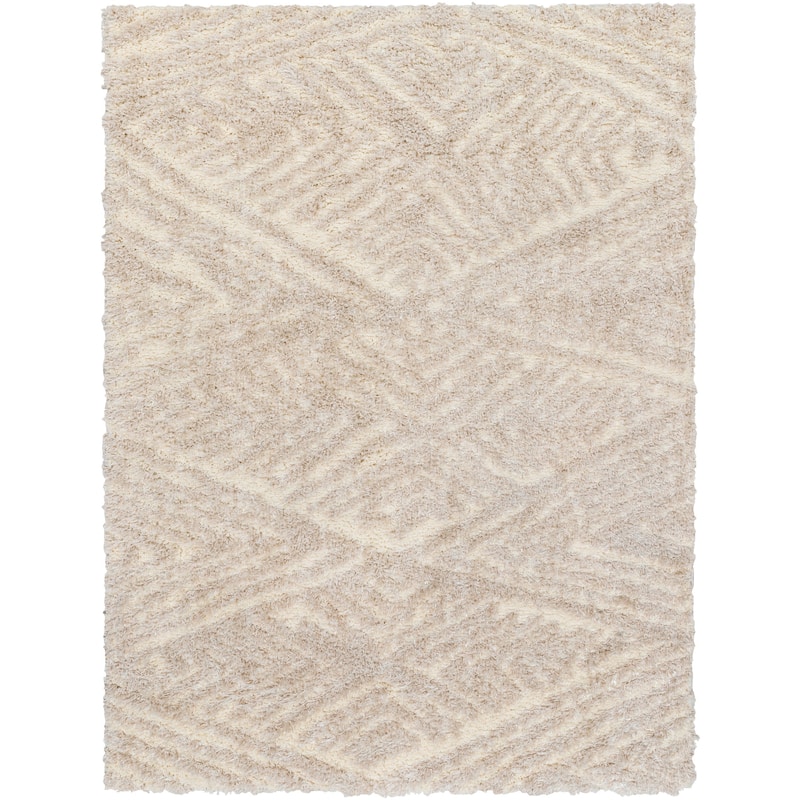 Auston Shag Area Rug