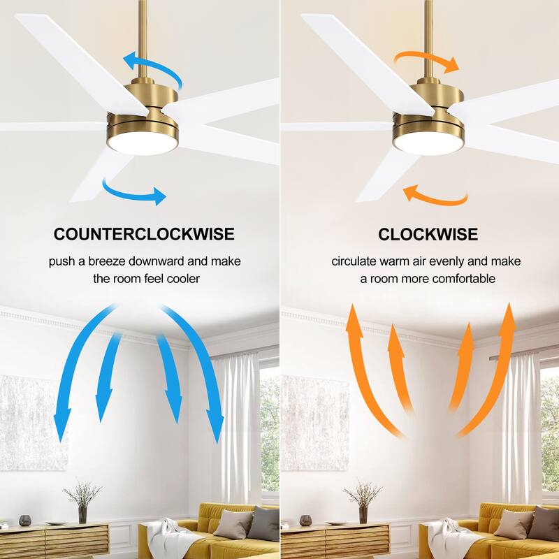 65 Inch 5-Blade LED Ceiling Fan with Light and Remote