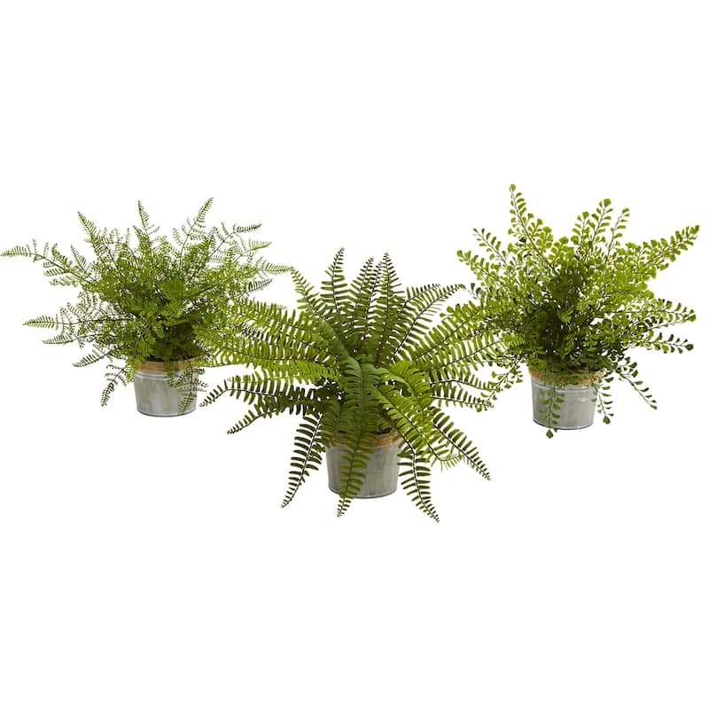 14-Inch Assorted Artificial Fern Plants in Decorative Pots Realistic Green Foliage for Indoor Use (Set of 3) - Green