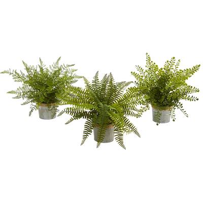 14-Inch Assorted Artificial Fern Plants in Decorative Pots Realistic Green Foliage for Indoor Use (Set of 3)