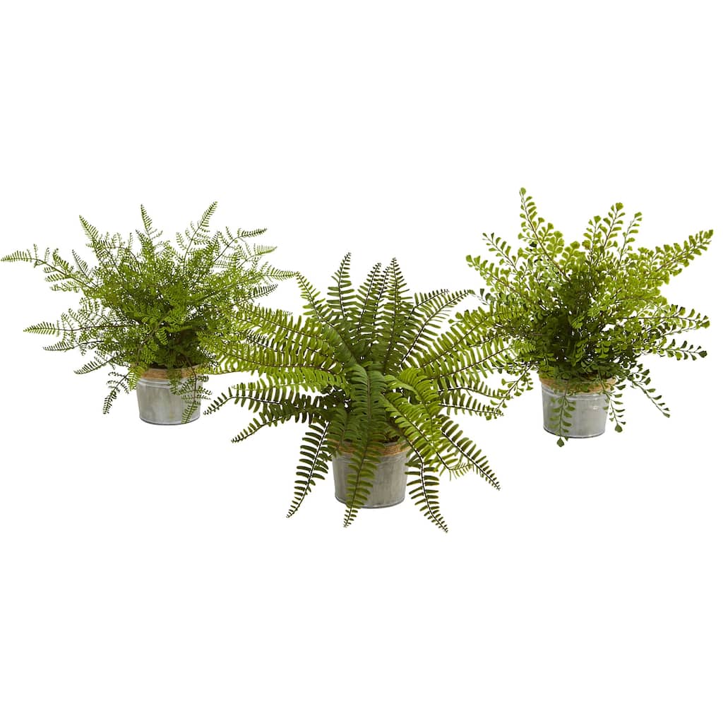 14-Inch Assorted Artificial Fern Plants in Decorative Pots Realistic Green Foliage for Indoor Use (Set of 3)
