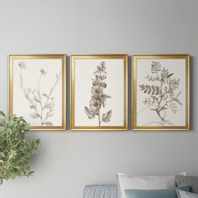 Neutral Botanical Study IV Premium Framed Canvas - Ready to Hang - Multi-Color