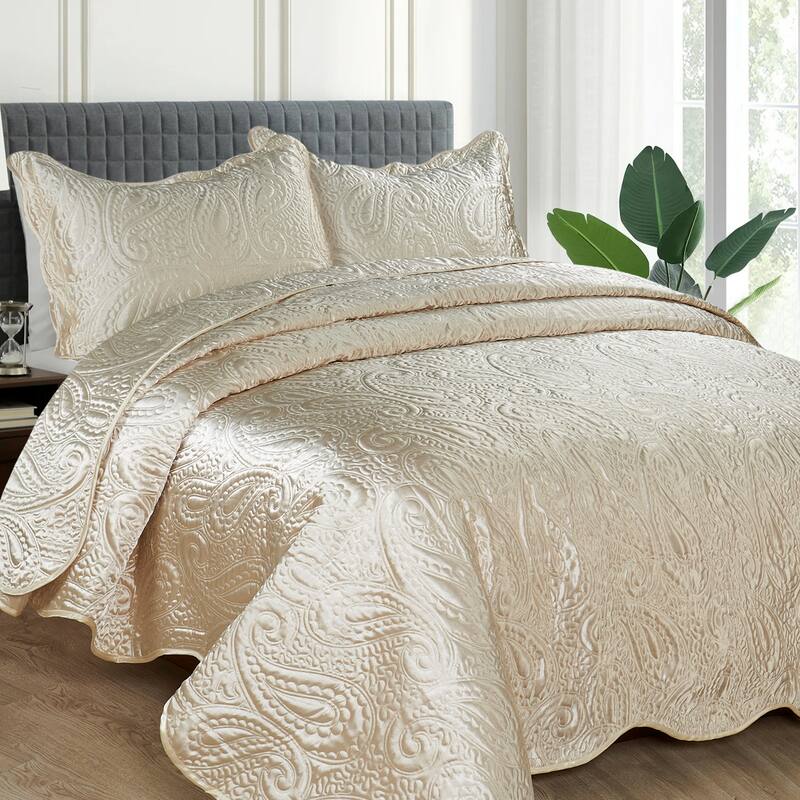3-Piece Paisley Design Lightweight Bedding Set