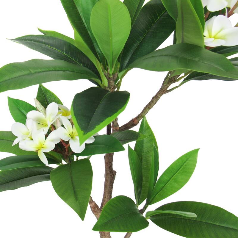3ft Cream Artificial Plumeria Flower Tree Tropical Plant in Black Pot - 36" H x 20" W x 17" DP