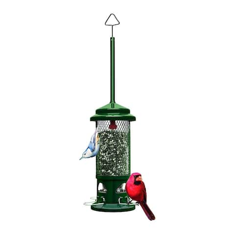 Brome Squirrel Buster Bird Feeder with 4 Metal Perches