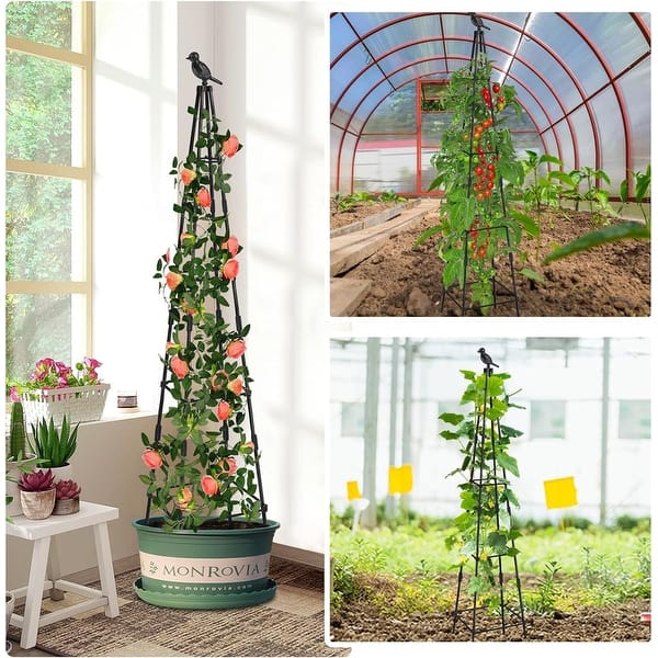 2 Pack Garden Trellis for Climbing Plants Outdoors - Bed Bath & Beyond -  42819206