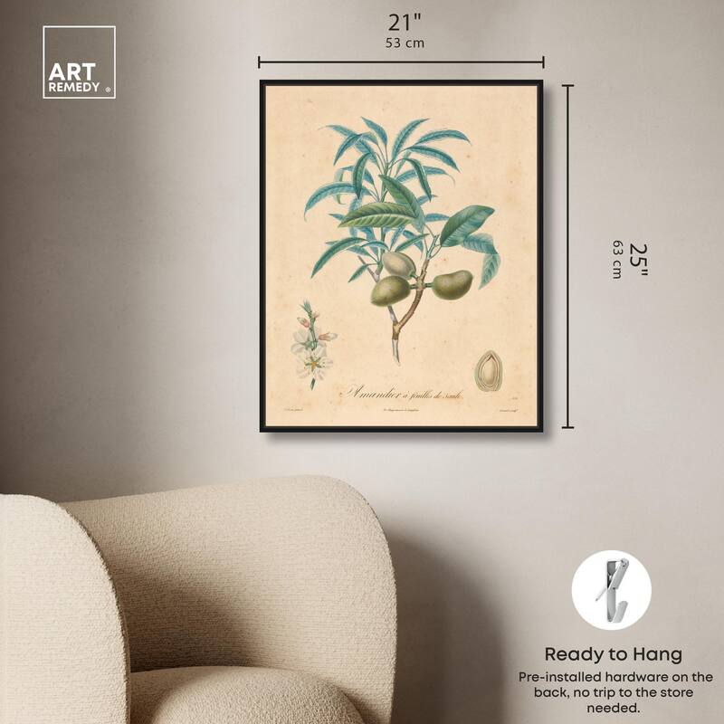 Almond of Georgia II Canvas by Art Remedy