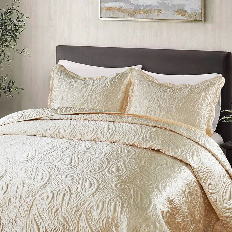 3-Piece Paisley Design Lightweight Bedding Set