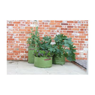 Haxnicks Vegetable Patio Planter 3 pack