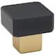Option Champagne / Matte Black