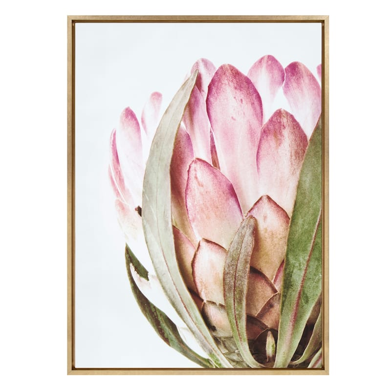 Kate and Laurel Sylvie Pink Protea Flower Framed Canvas Wall Art