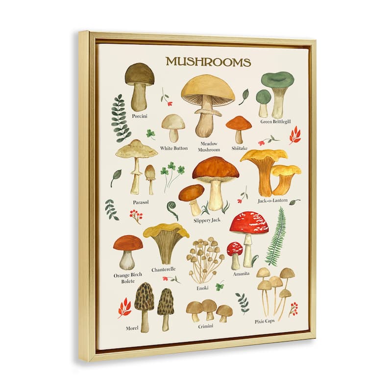Stupell Foraging Mushrooms Studies Framed Floater Canvas Wall Art Design by Sharon Lee