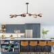 Belladepot Modern Full-angle Adjustable Chandelier with Smoked Glass Shades