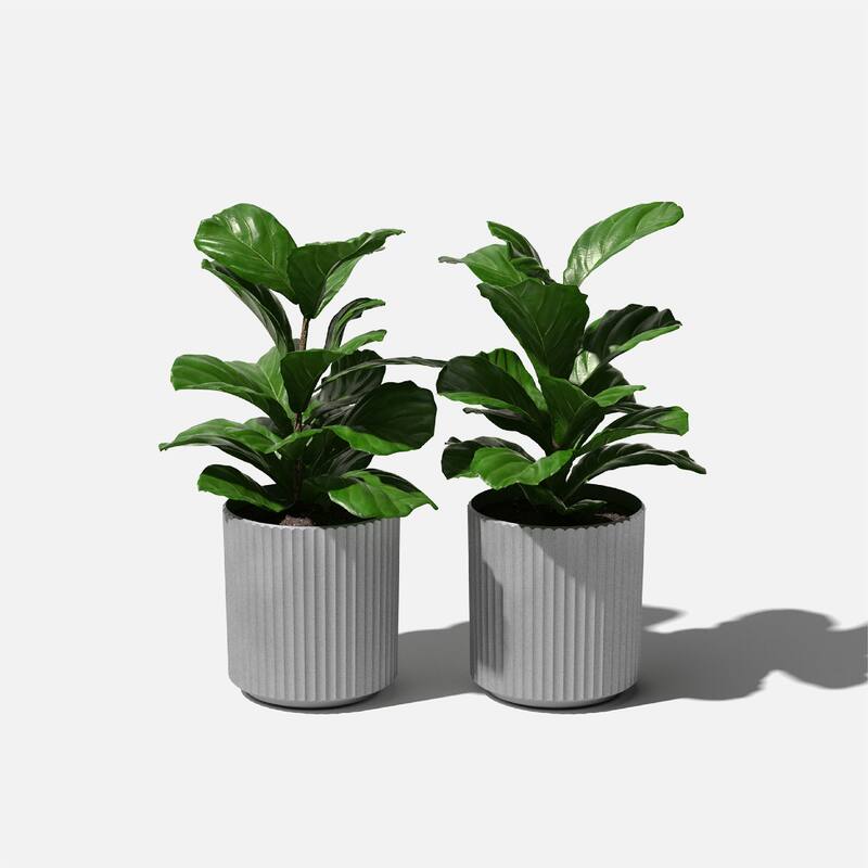 Veradek Demi Series Demi Round Planter