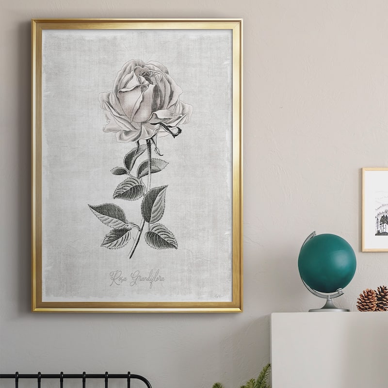 Vintage Botanical II Premium Framed Print - Ready to Hang