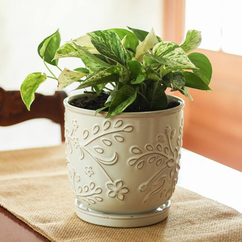 Southern Patio Venice White Ceramic 8.1-inch Planter (Pack of 2)