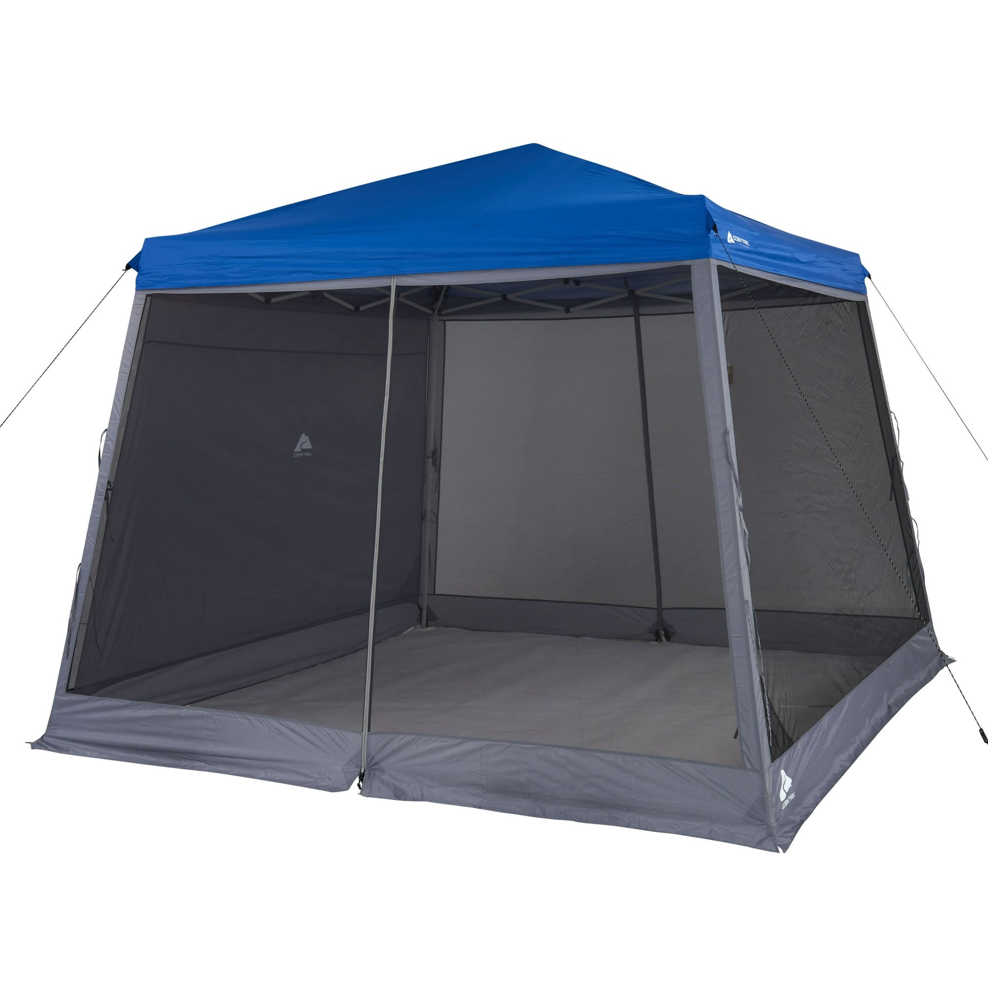 10 ft. x 10 ft. Slant leg Canopy Accessory Pack Shade Wall and