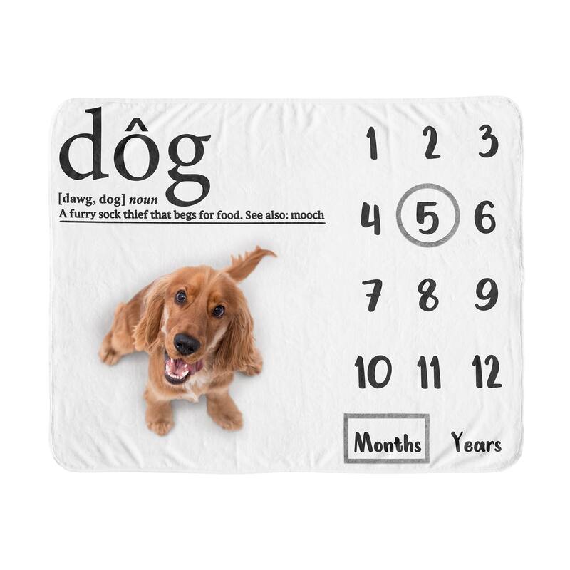 Sweet Jojo Designs Black White Doggy Dog Birthday Puppy Milestone Blanket - Pet Party Animal Dictionary Definition Modern Mooch