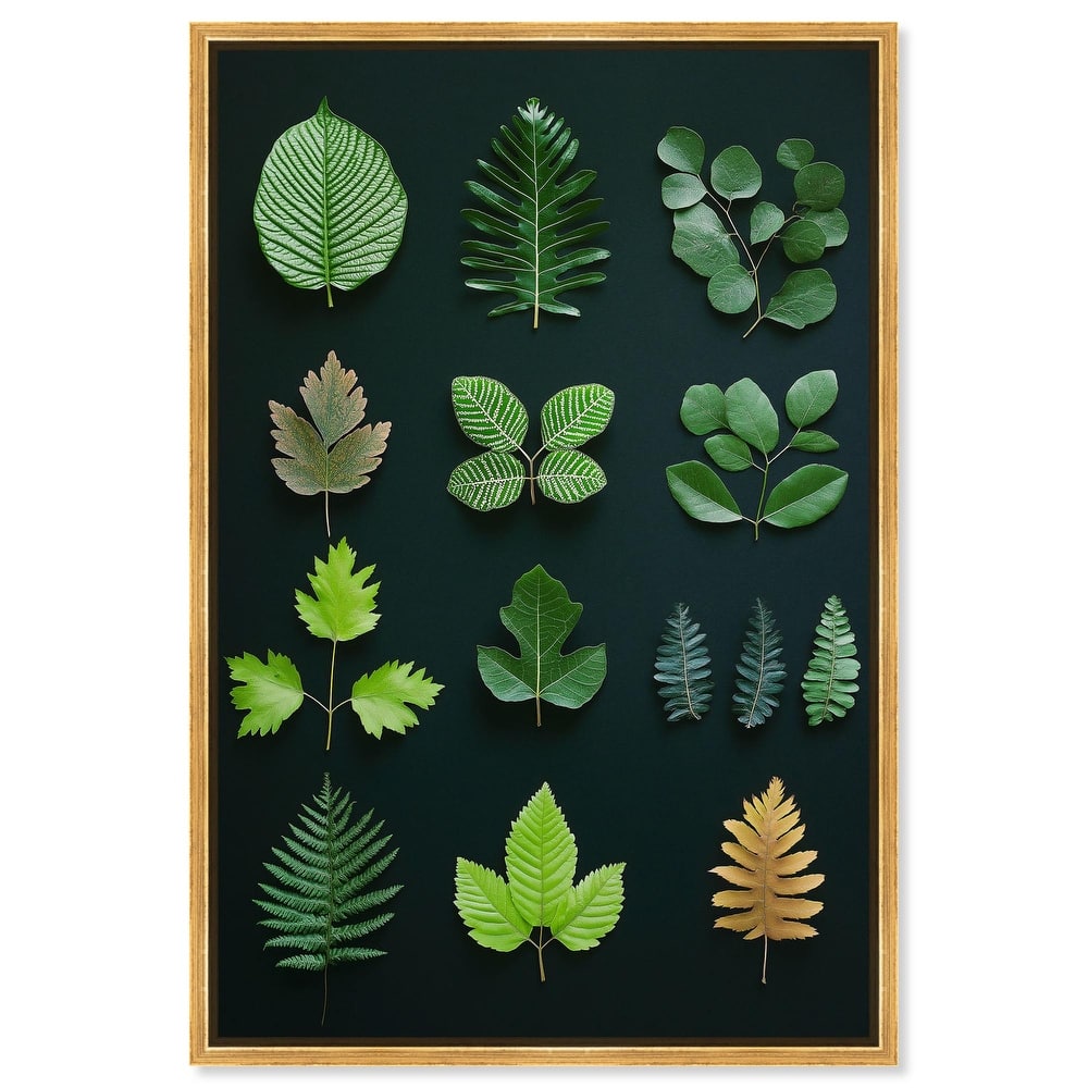 Leaf Library I Canvas by Art Remedy