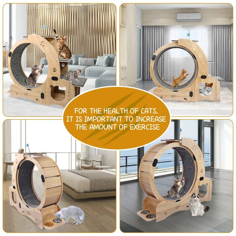 Brown 6-in-1 Cat Running Wheel For Large Cat Up To 44Lbs