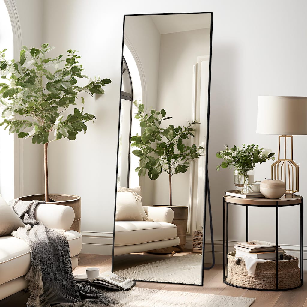 Modern Freestanding Full Length Rectangular Floor Mirror - 64*21