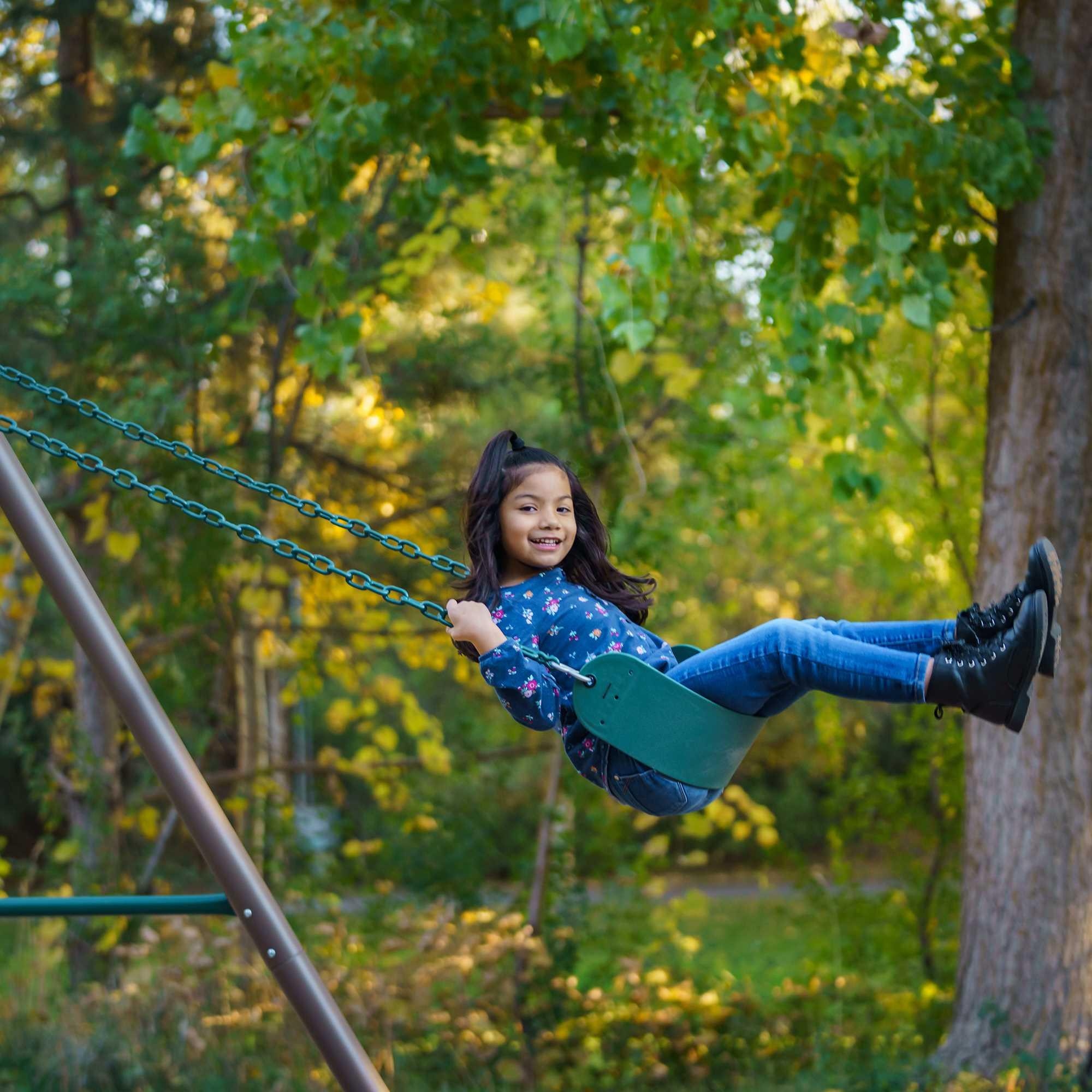 Lifetime metal best sale swing set