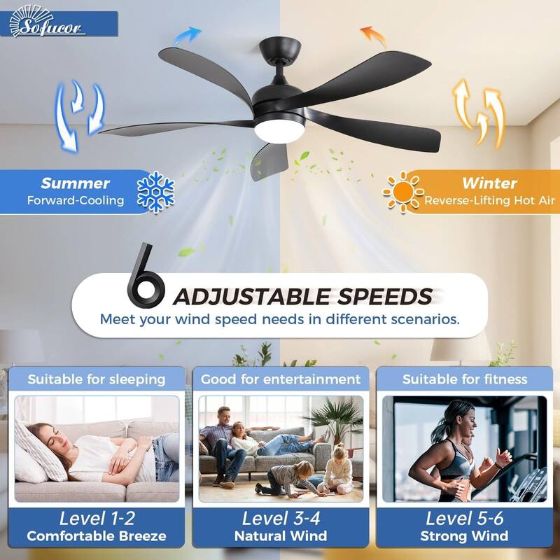 52 Inch Ceiling Fan with Remote & Lights Quiet DC Motor 5 Blade High CFM Modern Fan - Black