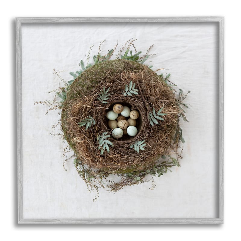 Stupell Peaceful Bird Nest Speckled Eggs Nature Photography Framed Wall Art, Design by Tania Soderman - Brown - 17 x 17 - Grey