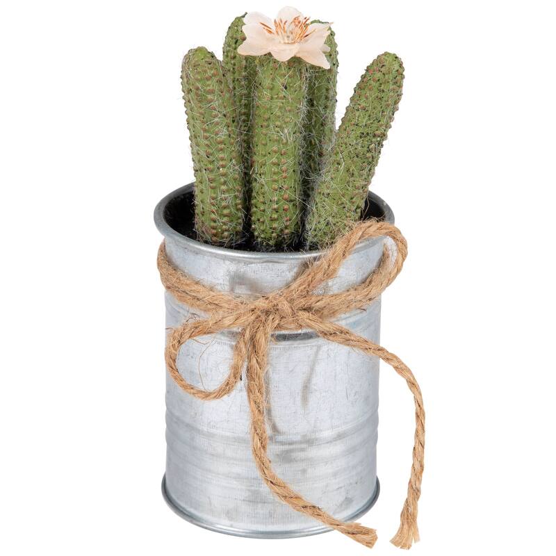 6" Silver and Green Artificial Mini Faux Cactus in Planter Twine Bow