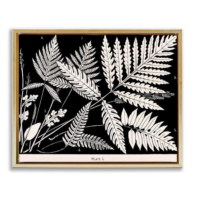Stupell Overlapping Ferns on Black Framed Floater Canvas Wall Art Design By Phillipa Katz - 21 x 17 - Gold