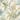 Trailing Palm Non-Pasted Wallpaper – 396in. x 21in. – Covers 56 square feet
