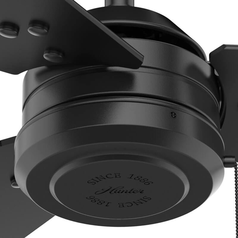 Hunter Cassius Outdoor 44 inch Ceiling Fan 50262