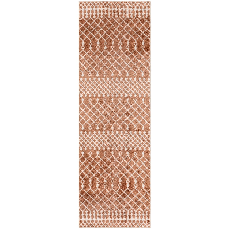 Nourison Astra Machine Washable Moroccan Area Rug