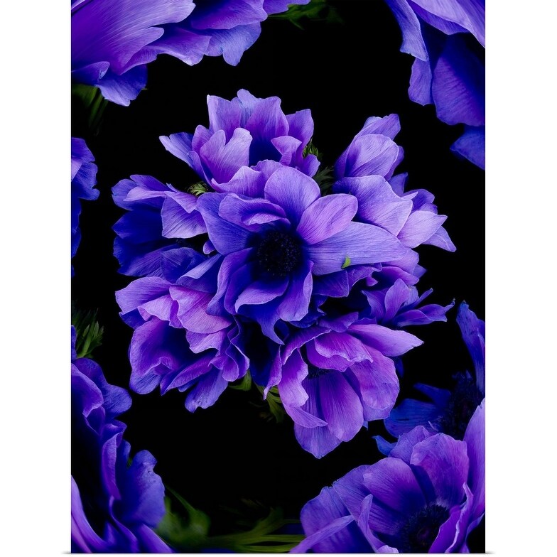 Shop Purple Flowers On Black Background Poster Print Overstock 16468224