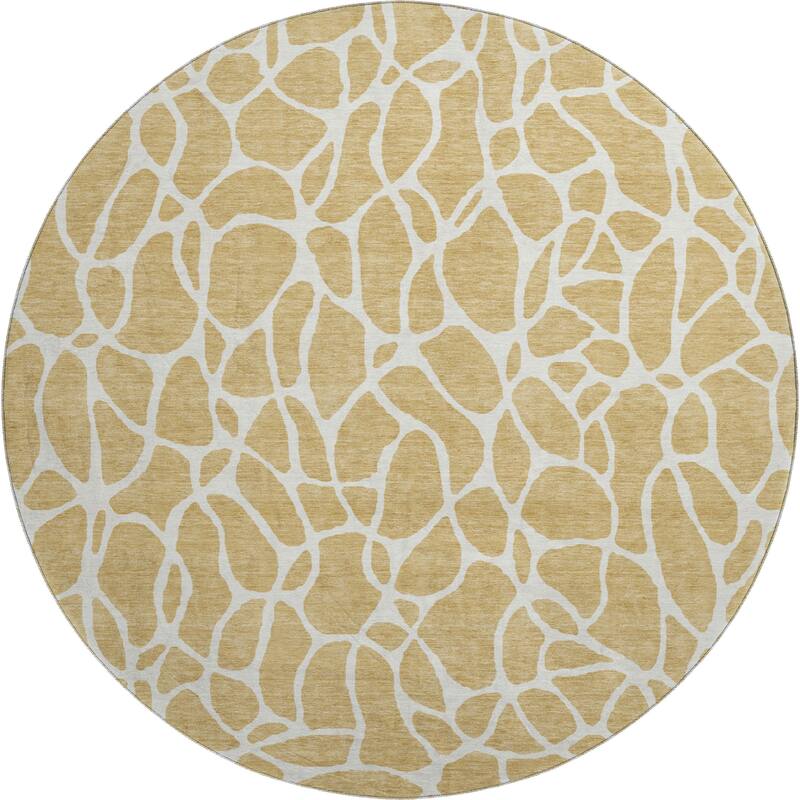 Premium Washable Super Soft Contemporary Ellie Mayfield Rug