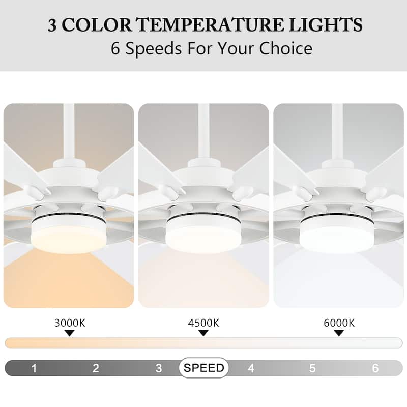 WINGBO 60-inch/72-inch 8-Blades Indoor DC Motor Ceiling Fan With LED Light and Remote Control