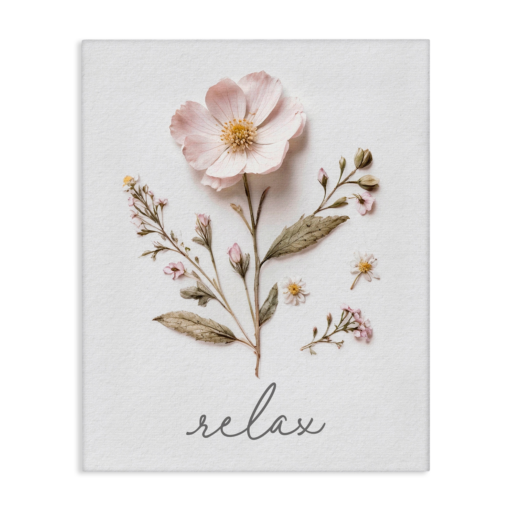 Stupell Pressed Flowers Relax Canvas Wall Art Design By Lettered and Lined