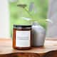 Option Eucalyptus & Cedarleaf