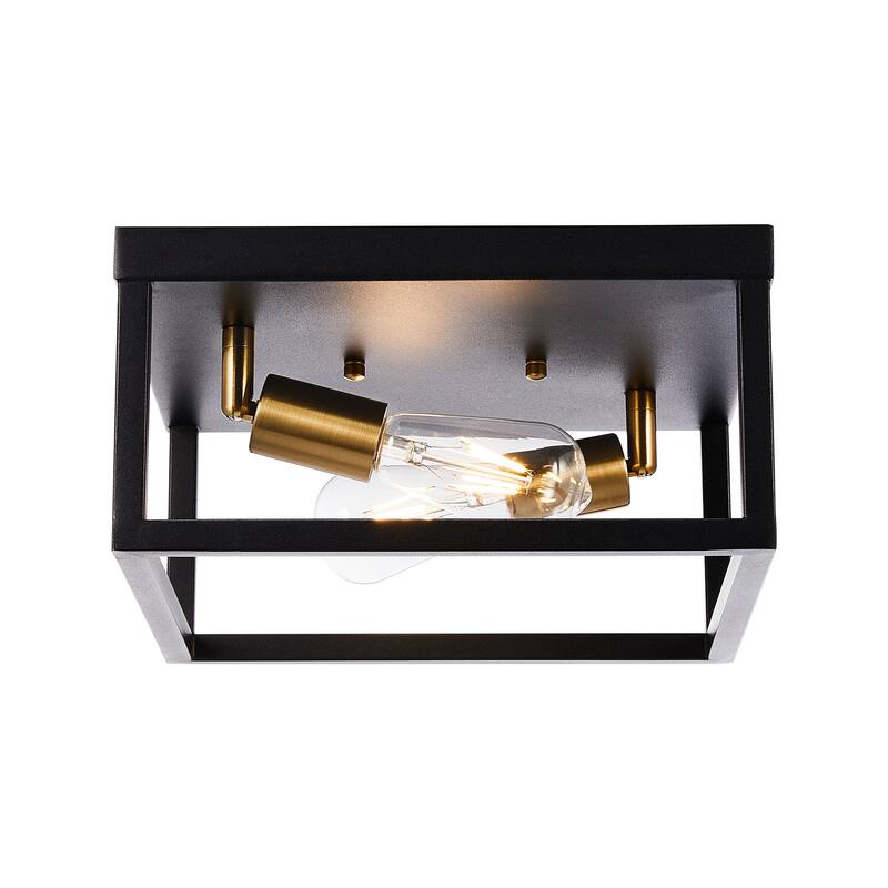 CO-Z 12-inch Industrial Caged Flush Mount Ceiling Light