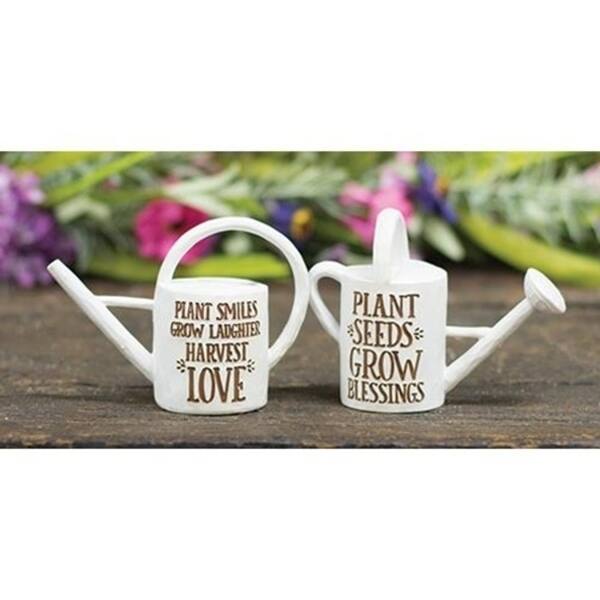 Shop Set Of 2 Decorative Resin Watering Cans On Sale Free