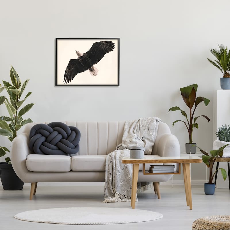 Stupell Eagle Flying Overhead Vintage Bird Sepia Tone Photography Framed Wall Art - Black