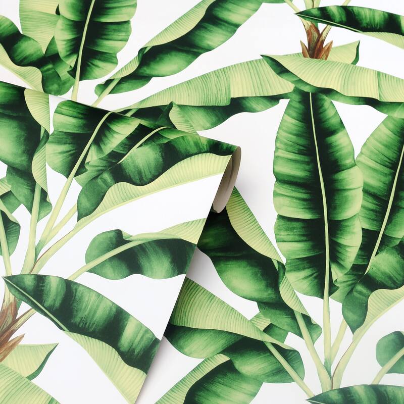 Musa Leaf Green Wallpaper - 20.8 in. W x 33ft L - Double Roll