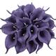 Option Purple