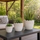 preview thumbnail 23 of 32, Plant Pot - Ivory Ceramic Round Iridescent Floral Crown, 6"